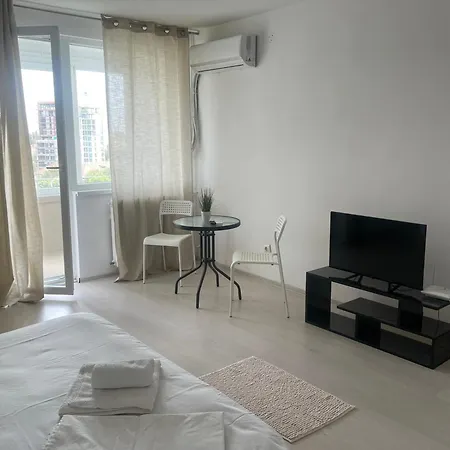 Near Center 1 公寓 *