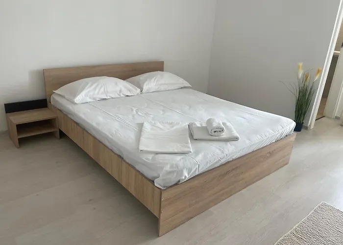 Near Center 1 公寓 *